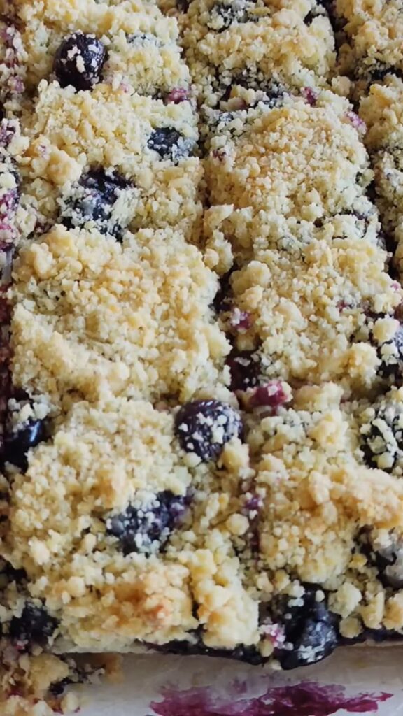 blueberry dessert bars